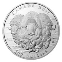 100 Dólares canadienses de plata para tres muscox o bueyes almizcleros