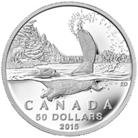 50 Dólares de plata para un gran diseño del castor canadiense en su hábitat 