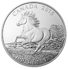 Un caballo canadiense un poco caro