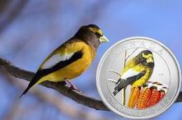 25 centavos en color para el “Pájaro de la tarde” canadiense