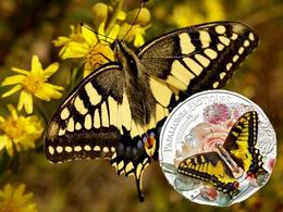 3D a color para la Papilio Machaon de Andorra